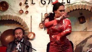 Sacromonte Flamenco in Granada [upl. by Homans433]