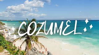 Top 5 things To Do in Cozumel Mexico [upl. by Suirtimid286]