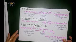 Peptide synthesis [upl. by Eelrak633]