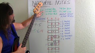 Bass Guitar For Beginners What Bassists Should Know [upl. by Akinyt]