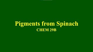 Isolation of Chlorophyll and Carotenoid Pigments from Spinach [upl. by Pylle]