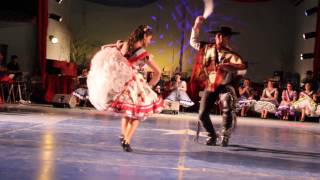 3° Cueca Campeones de arica 2014 [upl. by Artekal]