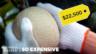 Why Japanese Melons Are So Expensive  So Expensive [upl. by Ahseihs]