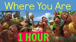 1 HOURLYRICS Where You Are Moana soundtrack Loop [upl. by Nwahsit]