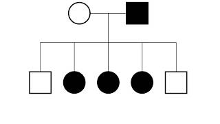 XLinked Pedigrees MADE EASY [upl. by Barthel]