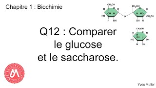 Chapitre 1  Biochimie  Q12  Comparer le glucose et le saccharose [upl. by Araik]