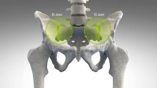 The SI Joint An Overlooked Cause of Low Back Pain  Dr Lorio [upl. by Aihset]