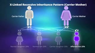 What is Autosomal Dominant Inheritance [upl. by Ethban]