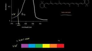 Absorption in the visible region  Spectroscopy  Organic chemistry  Khan Academy [upl. by Ahsiemal643]