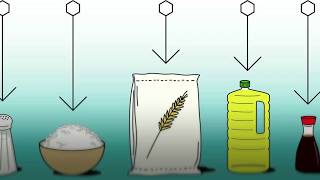 Food Fortification  Basics [upl. by Isnyl]