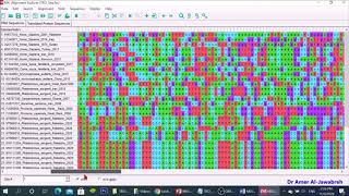 MEGA X How to construct a phylogenetic tree [upl. by Meras950]