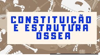 CONSTITUIÇÃO E ESTRUTURA ÓSSEA  osteologia anatomia estudeveterinario [upl. by Wilie507]