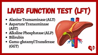 Liver Function Tests LFTs  liver function test interpretation  Animation  MultiLanguages [upl. by Halvaard]