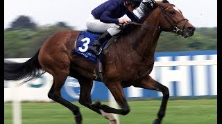 Galileo  Irish Derby 2001 [upl. by Ttnerb]