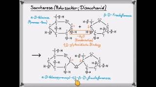 Saccharose [upl. by Ayitahs]