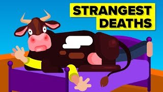 Strangest Ways People Died [upl. by Assetniuq]