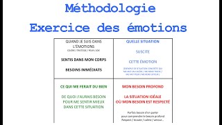 Méthodologie pour lexercice émotions  Intelligence émotionnelle  La Méthode Vittoz en Famille [upl. by Jp753]