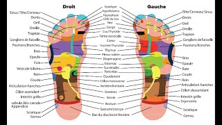 EXERCICE Pratiquez la réflexologie plantaire chez vous [upl. by Anahpets]