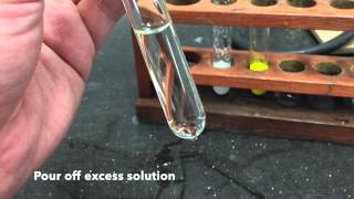 Anion Test  Sulfate Ions [upl. by Anelram]