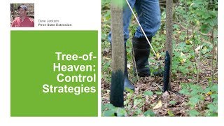 TreeofHeaven Control Strategies [upl. by Airdnola]