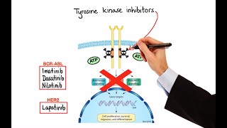 Pharmacology  CANCER DRUGS – CELL CYCLE INHIBITORS MADE EASY [upl. by Czarra]