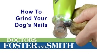 How to Grind Your Dogs Nails DrsFosterSmith [upl. by Onahpets364]