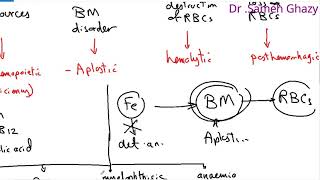 Systemic pathology 24  blood 1  deficiency anemia  DRSAMEH GHAZY [upl. by Paola25]