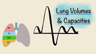 Lung Volumes and Capacities  Spirogram  Spirometry  Respiratory Physiology [upl. by Mitzl514]