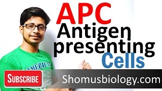 Antigen presenting cells APC [upl. by Kori]