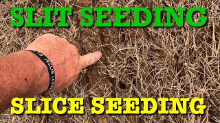 SLIT SEEDING and SLICE SEEDING A YARD [upl. by Aittam230]