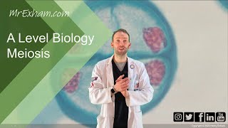 Meiosis and chromosome mutation  A Level Biology [upl. by Blane]