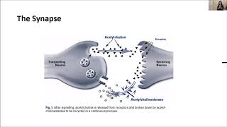 Donepezil and Memantine by DrShabina Sheth [upl. by Selina]