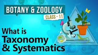 What is Taxonomy and Systematics  Diversity in Organisms  Biology Class 11 [upl. by Eeralav408]