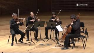 Franz Schubert String Quintet in C Major D 956 [upl. by Liliane]