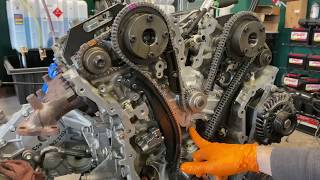 Ford 35 SHO Ecoboost Timing Chain Installation Part 2 [upl. by Tonina]