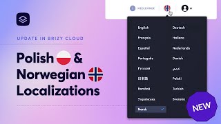 Update Brizy Cloud Norwegian amp Polish Localization [upl. by Assylla20]