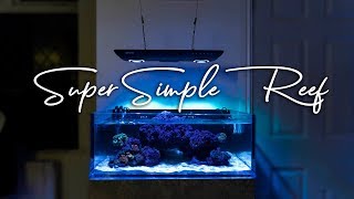 How To Setup a Super Simple Saltwater Reef Aquarium for Beginners [upl. by Eceinart]