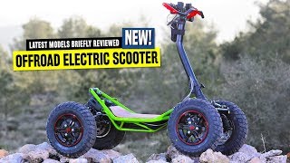 Top 8 Electric Scooters Ranked by Pricing and OffRoad Capabilities in 2020 [upl. by Ailuj]