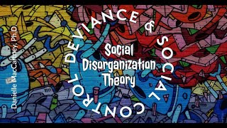 Social Disorganization Theory [upl. by Hedve]