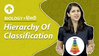 Hierarchy Of Classification  Hindi  Biology [upl. by Archer]