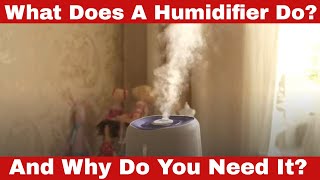 What Does a Humidifier Do Why Do You Need It [upl. by Anallise]