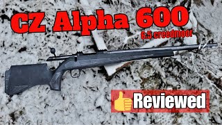 CZ 600 Alpha A Comprehensive Review [upl. by Mayer720]