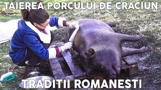 Taierea si Transarea Porcului de Craciun  Traditii Romanesti de Ignat Eng Sub [upl. by Ahsineg968]