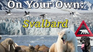 How to Visit Svalbard On Your Own [upl. by Fugazy]