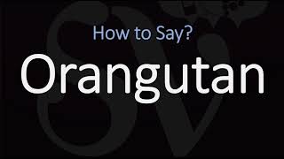 How to Pronounce Orangutan CORRECTLY [upl. by Philomena]