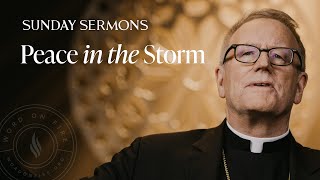 Peace in the Storm  Bishop Barrons Sunday Sermon [upl. by Atillertse]