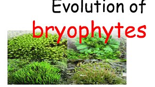 Plant evolution  bryophytes evolution [upl. by Adnahc]