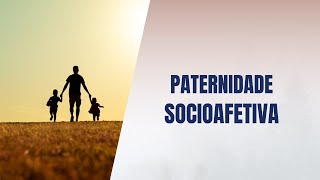 Paternidade socioafetiva [upl. by Ellenig]