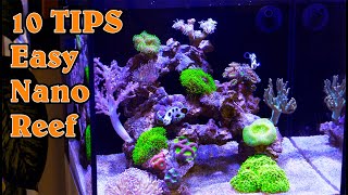 Top 10 TIPS for an EASY amp Successful Nano Reef Tank [upl. by Dietsche]