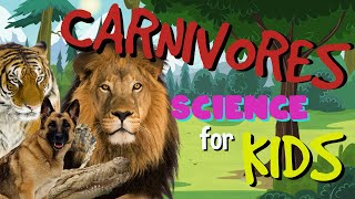 What is a Carnivore  Science for Kids [upl. by Tremain]